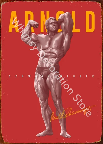 Carteles de hojalata para deco - Sports Equipment Poster reseña y precio
