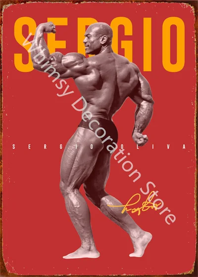 Carteles de hojalata para deco - Sports Equipment Poster reseña y precio